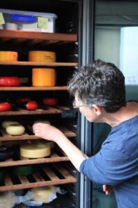 ‘Mastering Basic Cheesemaking: The Fun and Fundamentals of Making Cheese at Home’ Book Review Image